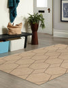 Sahara Sands Collection Area Rug -  Faiyum Rectangle Natural  lifestyle 5