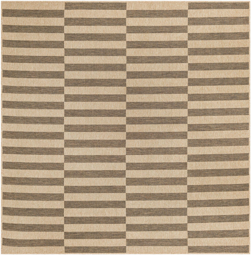 Sahara Sands Collection Area Rug -  Akhetaten Square Natural and Brown  lifestyle 17