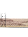 Autumn Meadow Collection Area Rug -  Sycamoreside (Light Brown) Oval Light Brown  lifestyle 71