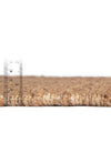 Coastal Weave Jute Collection Area Rug - Seashore Rectangle Natural  lifestyle 54