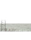 Sustainable Nomad Terrace Collection Area Rug - Reef Runner Sea Green  lifestyle 72