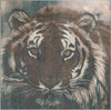 Savannah Sojourn Collection Area Rug -  Okavango Square Multi  lifestyle 20