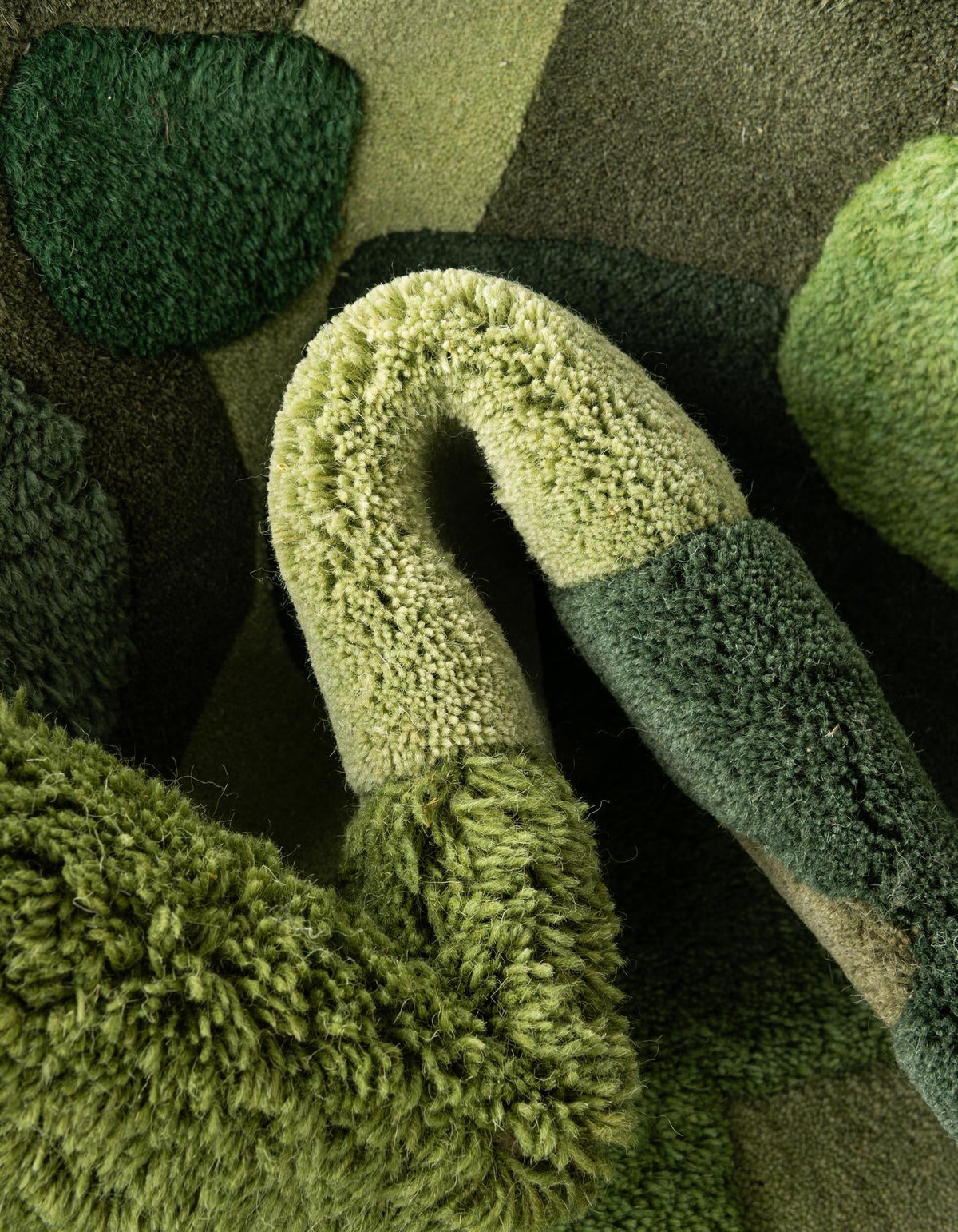 Forest Floor Oasis Collection Area Rug - Fernwood Rectangle Green  lifestyle 6
