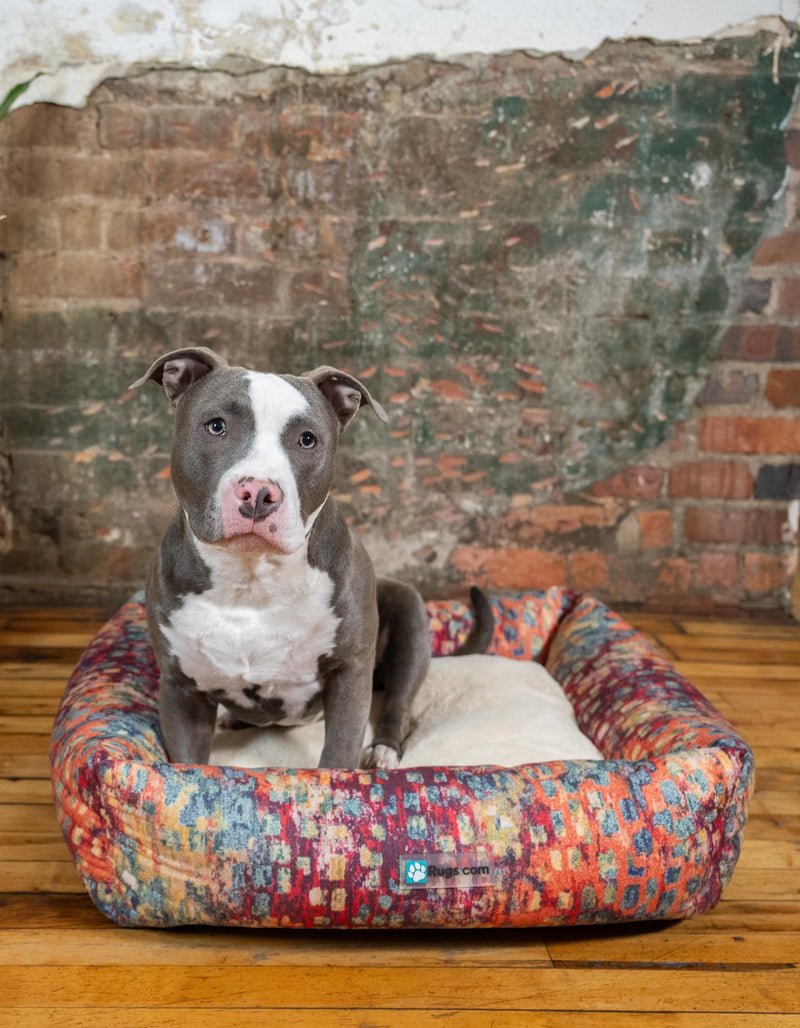 Luxury Pet Lounge Collection Pet Bed -  Lair Rectangle Multi  lifestyle 2