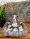 Luxury Pet Lounge Collection Pet Bed -  Glade Rectangle Multi  lifestyle 2