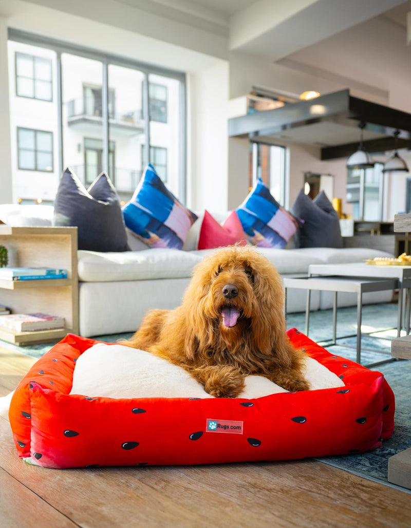 Luxury Pet Lounge Collection Pet Bed -  Haven Rectangle Multi  lifestyle 2