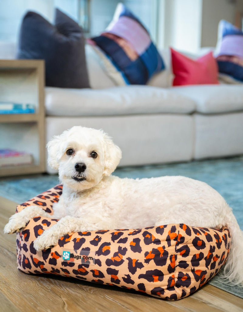 Luxury Animal Lounge Collection Area Rug -  Retreat Rectangle Multi Main