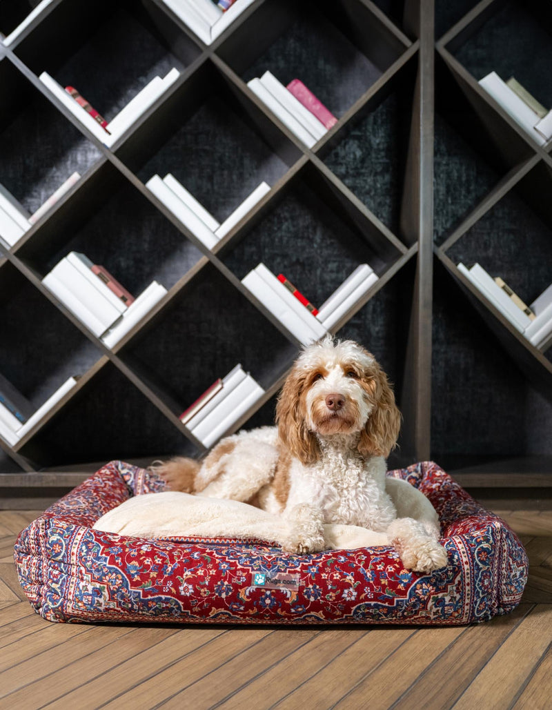 Luxury Pet Lounge Collection Pet Bed -  Sanctuary Rectangle Multi  lifestyle 2