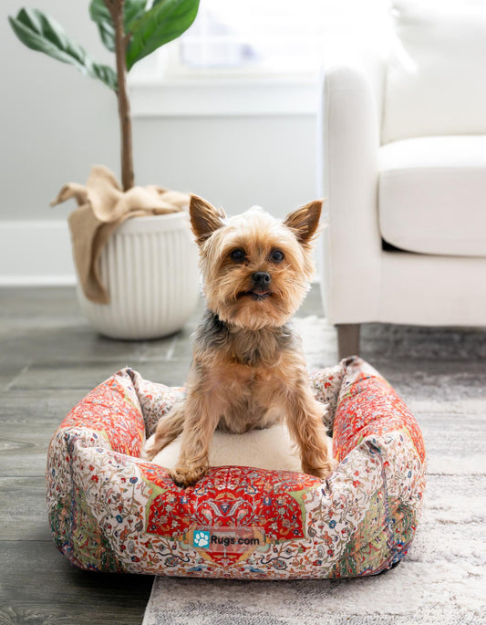 Luxury Animal Lounge Collection Area Rug -  Cove Rectangle Multi Main