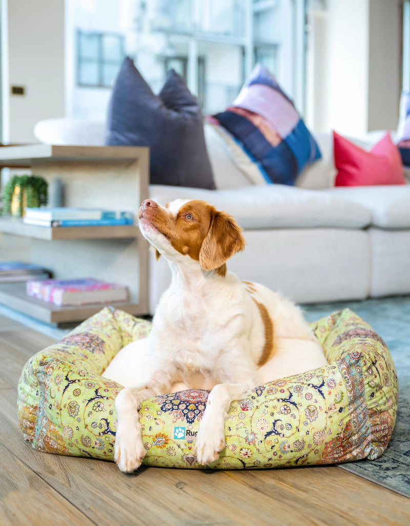 Luxury Pet Lounge Collection Pet Bed -  Pasture. Rectangle Multi  lifestyle 2