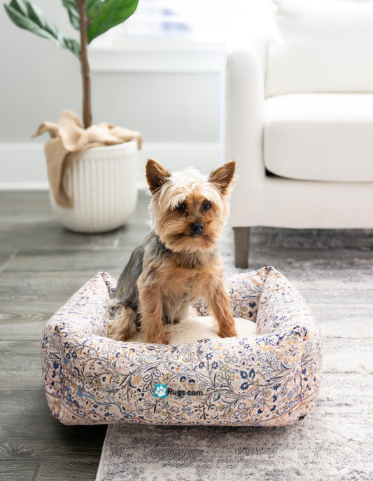 Luxury Animal Lounge Collection Area Rug -  Oasis Rectangle Multi Main