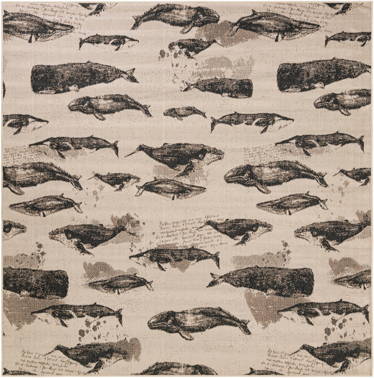 Seaside Haven Rugs Collection Area Rug -  Seabreeze Square Beige  lifestyle 24