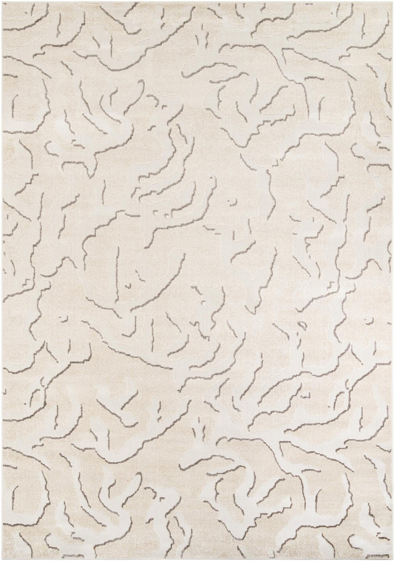 Catalina Cove Outdoor Collection Area Rug -  DelMar Rectangle Beige and Ivory Main