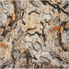 Urban Terrace Collection Area Rug -  Horizon Square Multi  lifestyle 23