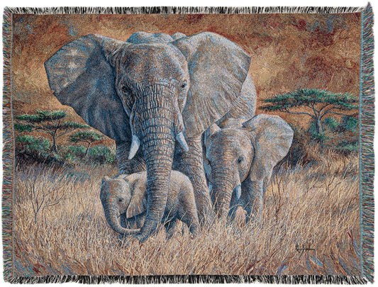Fleece Haven Collection Area Rug -  Quincy Rectangle Brown and Gray Main
