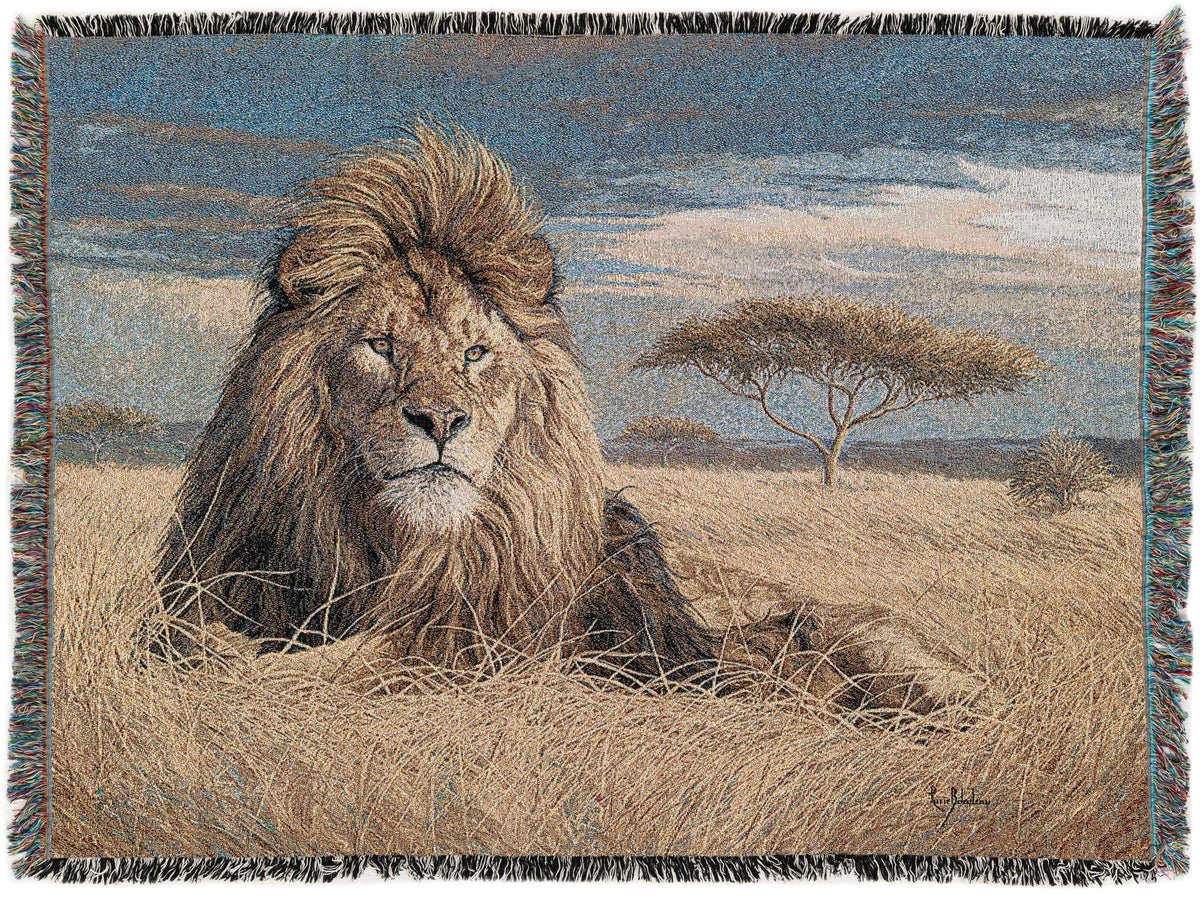 Fleece Haven Collection Area Rug -  Xerxes Rectangle Multi Main
