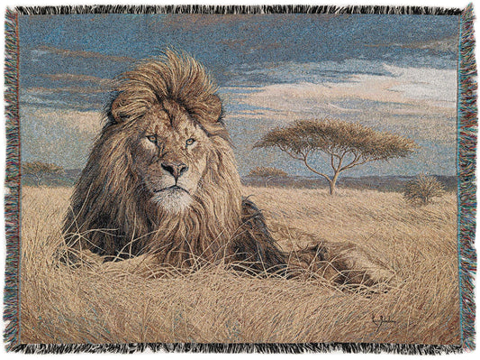 Fleece Haven Collection Area Rug -  Xerxes Rectangle Multi Main