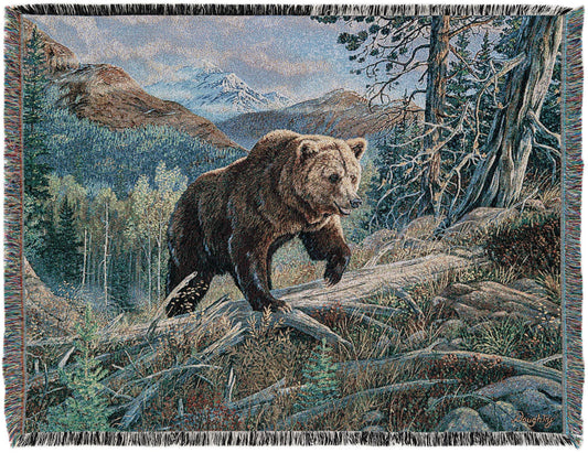 Fleece Haven Collection Area Rug -  Eagle Rectangle Multi Main