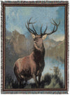 Fleece Haven Collection Area Rug -  Ketchikan Rectangle Multi Main