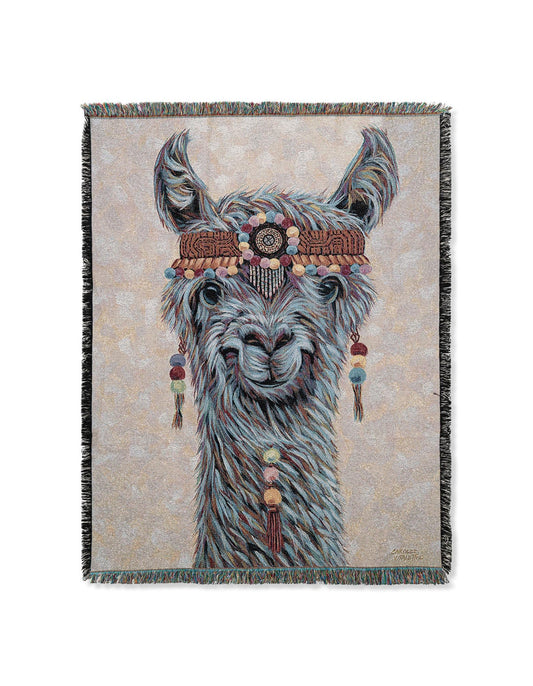 Fleece Haven Collection Area Rug -  Roswell Rectangle Multi Main