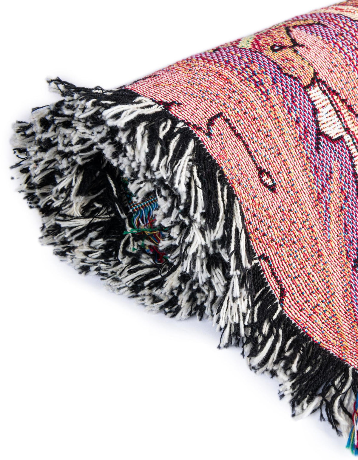 Fleece Haven Collection Area Rug -  Aurora Rectangle Pink  lifestyle 13