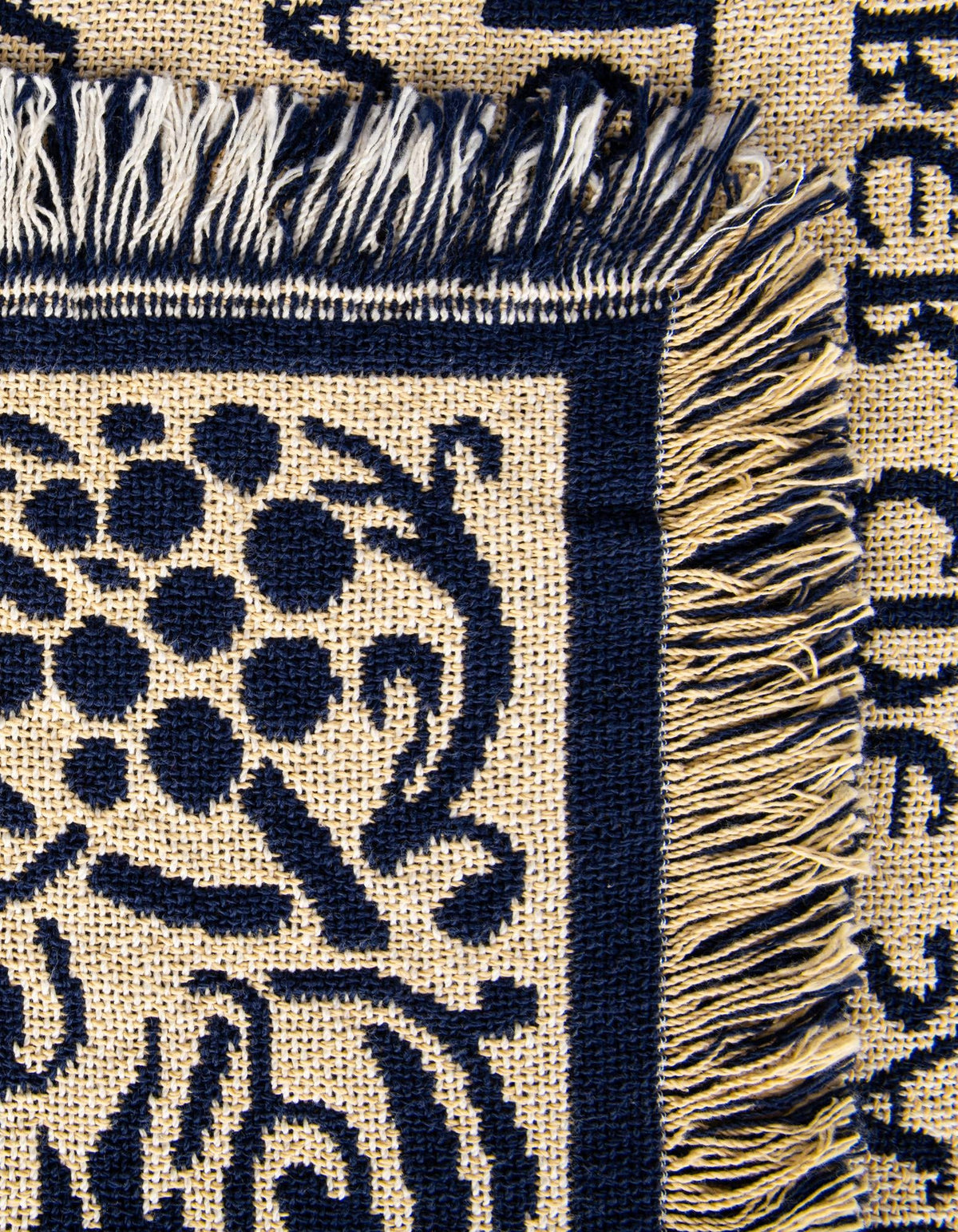 Fleece Haven Collection Area Rug -  Wray Rectangle Blue and White  lifestyle 10