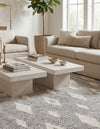 Sienna Collection Area Rug - Umbria Rectangle Cloud Gray  lifestyle 44