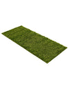 Plush Oasis Collection Area Rug - Serenity (Grass Green) Runner Grass Green  lifestyle 21