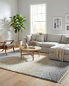 Cozy Cove Shag Collection Area Rug -  Lagoon Rectangle Gray  lifestyle 9