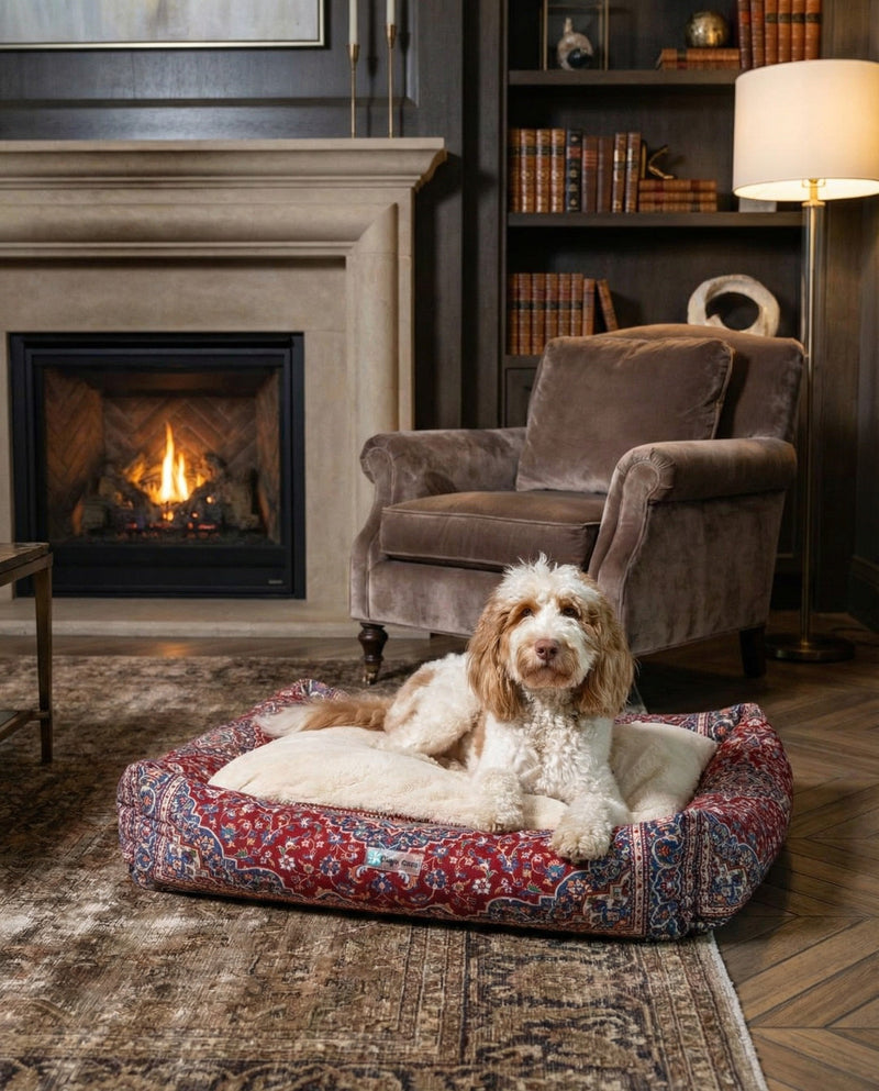 Luxury Pet Lounge Collection Pet Bed -  Sanctuary Rectangle Multi  lifestyle 3