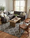Savannah Pergola Collection Area Rug - Arbor (Black) Rectangle Black  lifestyle 10