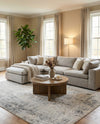 Aegean Elegance Collection Area Rug -  Paros Rectangle Gray  lifestyle 16