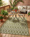 Savannah Pergola Collection Area Rug -  Pavilion (Green) Rectangle Green  lifestyle 8