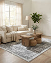 Geneva Terrace Collection Area Rug -  Vevey Rectangle Gray  lifestyle 23