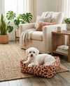 Luxury Pet Lounge Collection Pet Bed -  Retreat Rectangle Multi  lifestyle 2