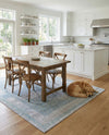 Aegean Elegance Washables Collection Area Rug -  Delos Rectangle Gray Green  lifestyle 47