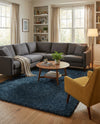 Alpine Plush Collection Area Rug - Verbier Rectangle Dblue  lifestyle 9