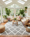 Sahara Chic Collection Area Rug -  Tuareg Rectangle Gray  lifestyle 31