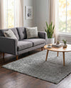 Alpine Plush Collection Area Rug -  Cortina (Sterling) Rectangle Sterling  lifestyle 8