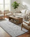 Charleston Elegance Collection Area Rug - Harborview Rectangle Gray  lifestyle 11