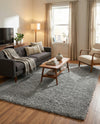 Alpine Plush Collection Area Rug -  Cortina (Sterling) Rectangle Sterling  lifestyle 9