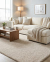 Cozy Comfort Shag Collection Area Rug - Haven (Oatmeal Beige) Rectangle Oatmeal Beige  lifestyle 13