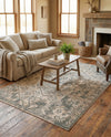 Gobi Sands Collection Area Rug -  Turpan Rectangle Multi  lifestyle 14