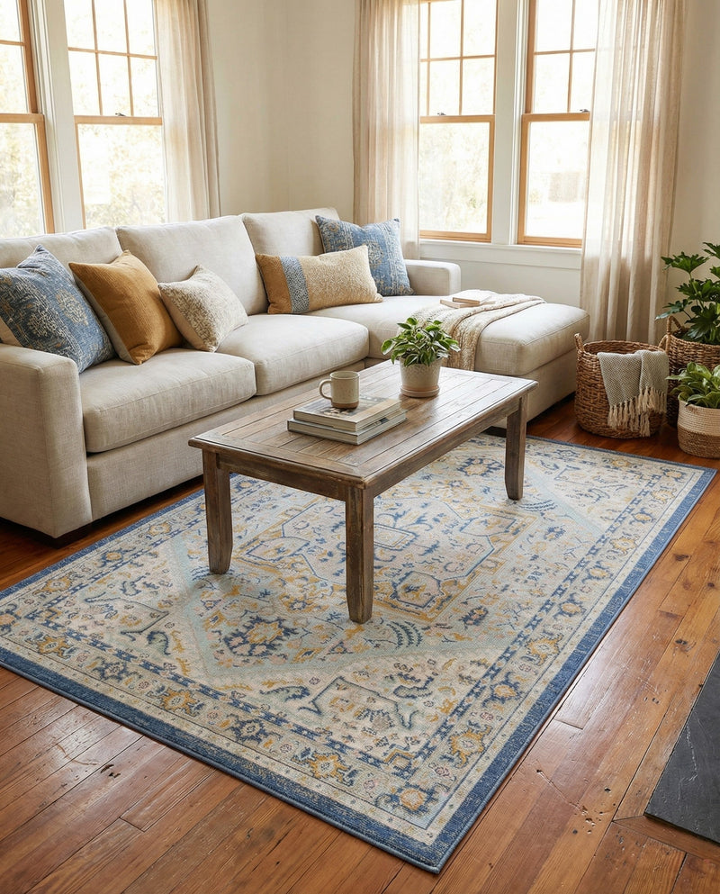 Savannah Series Collection Area Rug - Charleston (Sky blue) Rectangle Sky blue  lifestyle 12
