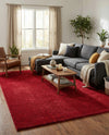 Solid Shag Seaside Collection Area Rug - Azure Cove (Red) Rectangle Red  lifestyle 7