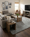 Alpine Plush Collection Area Rug -  Cortina (Sterling) Rectangle Sterling  lifestyle 10