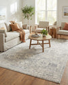 Seville Stripes Collection Area Rug -  Cordoba (Gray) Rectangle Gray  lifestyle 24