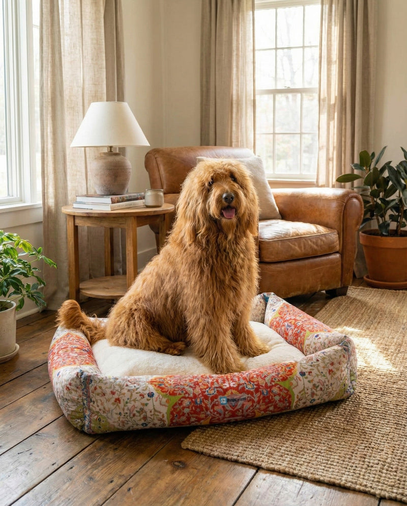 Luxury Pet Lounge Collection Pet Bed -  Cove Rectangle Multi  lifestyle 6