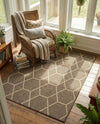 Sahara Sands Collection Area Rug -  Faiyum Rectangle Brown  lifestyle 9