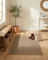 Sahara Sands Collection Area Rug -  Amarna Rectangle Natural and Brown  lifestyle 3